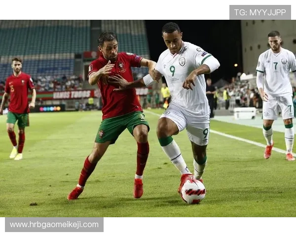 U19爱尔兰与法国青少年足球队激战正酣期待精彩对决与未来之星的崛起