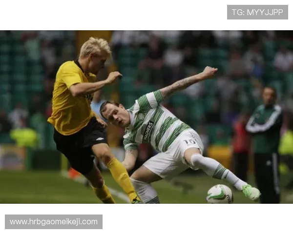 埃尔夫斯与天狼星对决前瞻分析及推荐策略详解