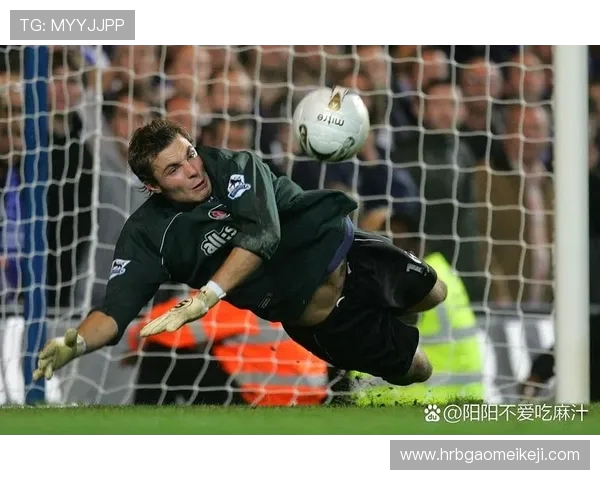 诺伊尔：守护球门的传奇门将与他的辉煌职业生涯回顾