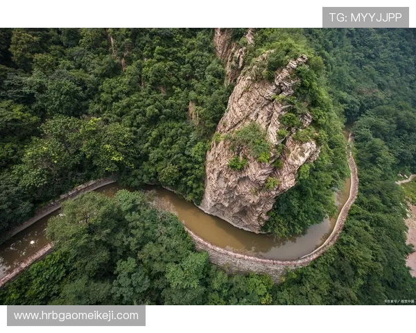 攀岩之路上的坚韧与梦想：王娜的深度对话与人生探索